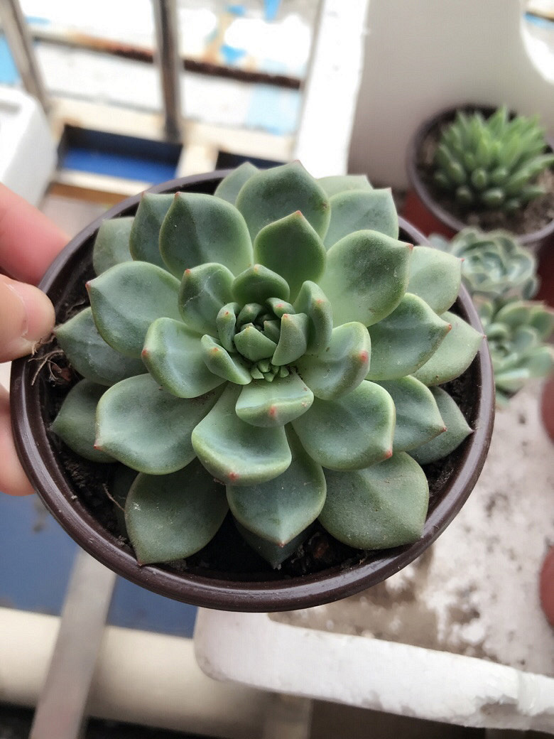 �Ҽ�����