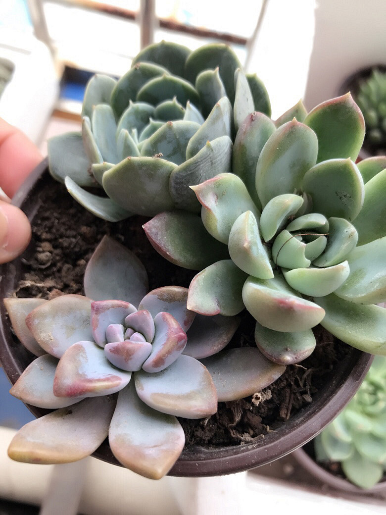 �Ҽ�����