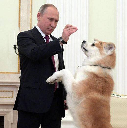 ����˹�4���£����ϴη�ͼ�ִ��˲��٣���ͼ����