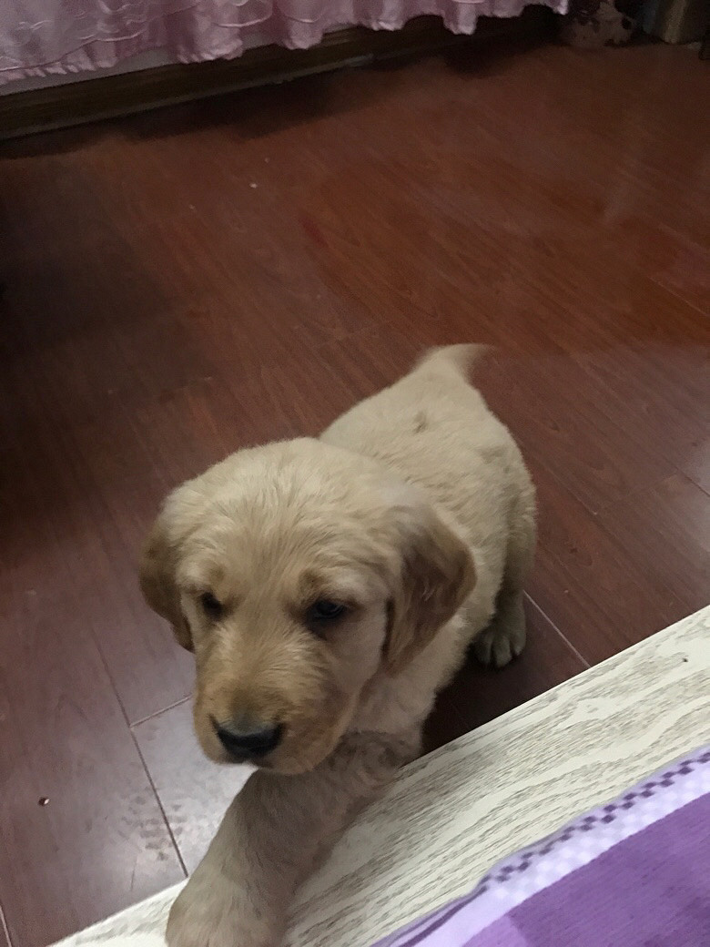 ��һ�����½�ë����ĸһ����������ϵ