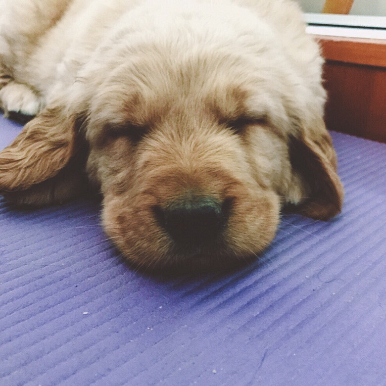 ��һ�����½�ë����ĸһ����������ϵ
