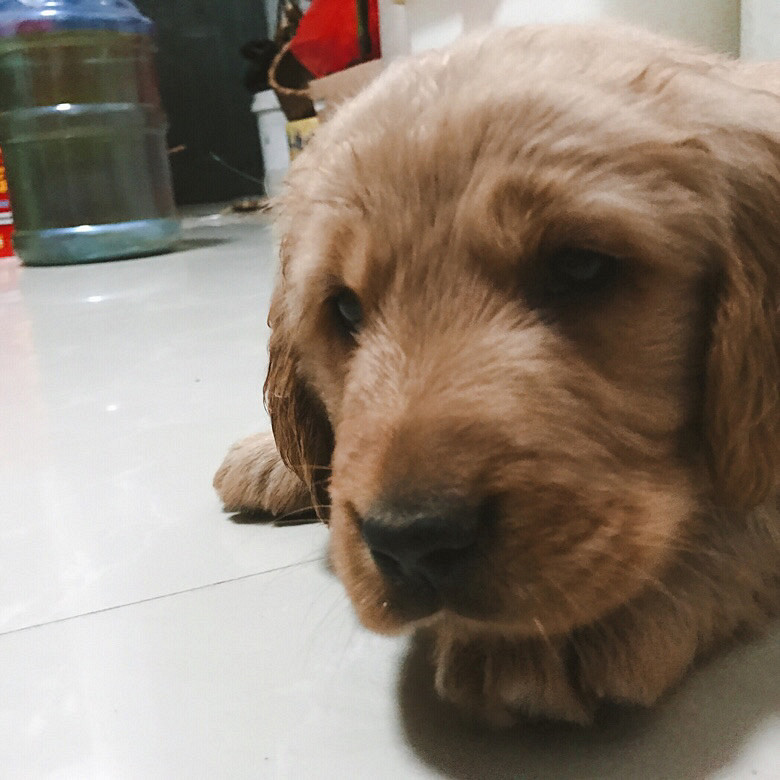 ��һ�����½�ë����ĸһ����������ϵ