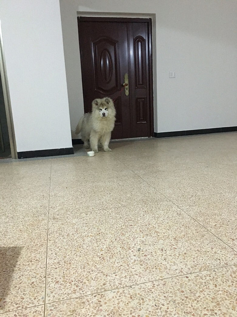 ������Ǻܺÿ���