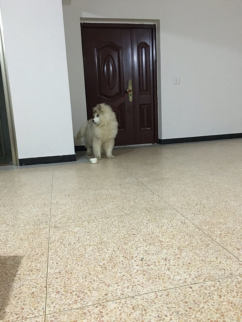������Ǻܺÿ���
