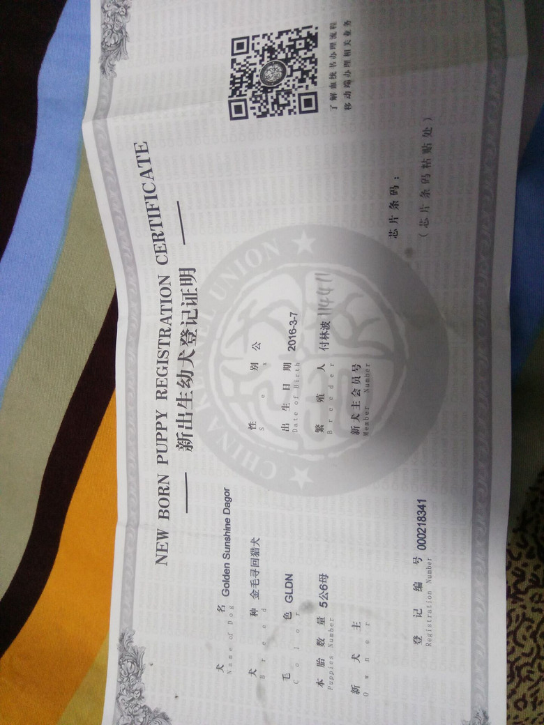 ת�ô��ֽ�ëһֻ���ھ�����֤��