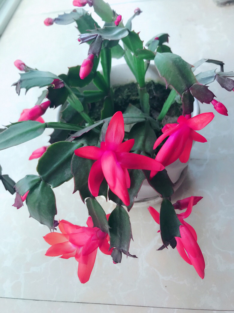 ������ô�����ڿ�����