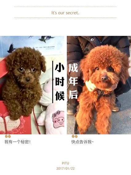 ���˰Ѻ������������Σ�ͬ��ͬĸ�ĺ��ӻ���