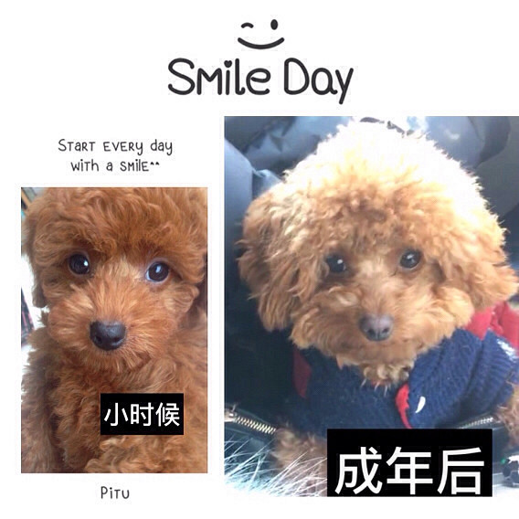 ���˰Ѻ������������Σ�ͬ��ͬĸ�ĺ��ӻ���