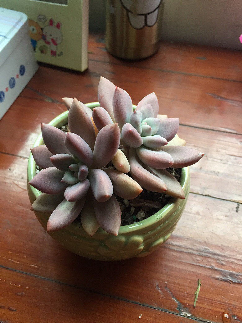 ǰ���������������£�Ҫ�������е㲻��