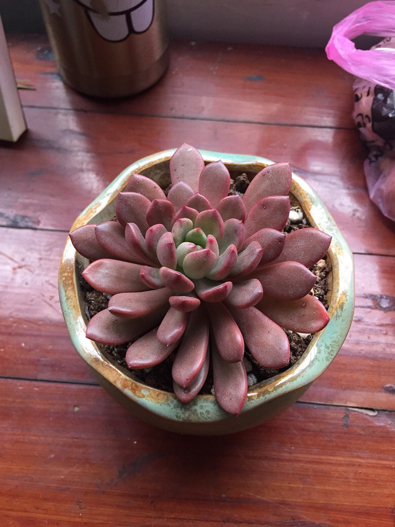 ǰ���������������£�Ҫ�������е㲻��