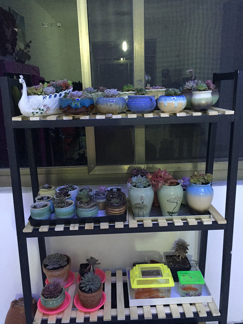 ǰ���������������£�Ҫ�������е㲻��