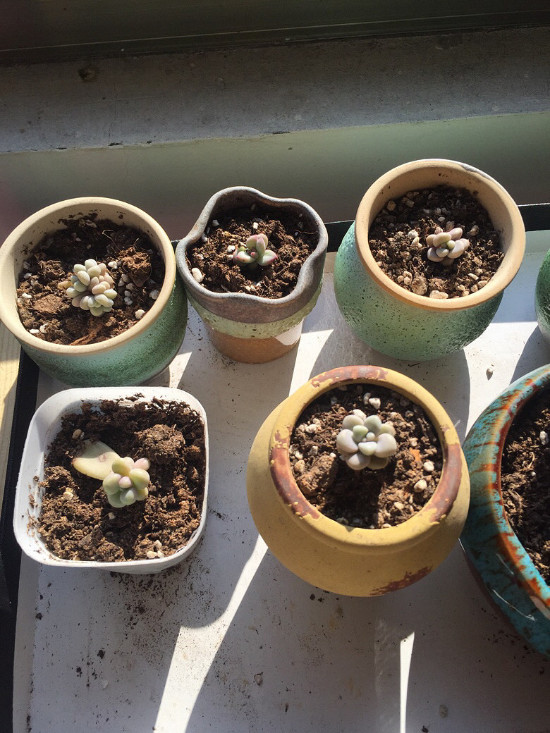 ǰ���������������£�Ҫ�������е㲻��