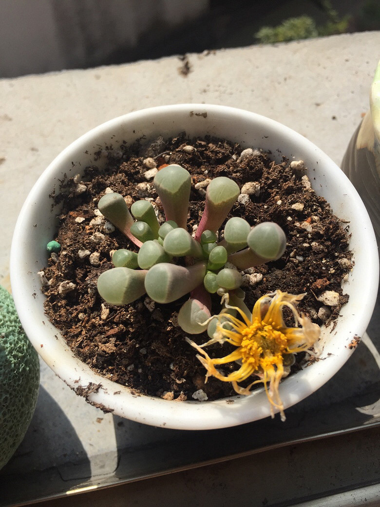 ǰ���������������£�Ҫ�������е㲻��