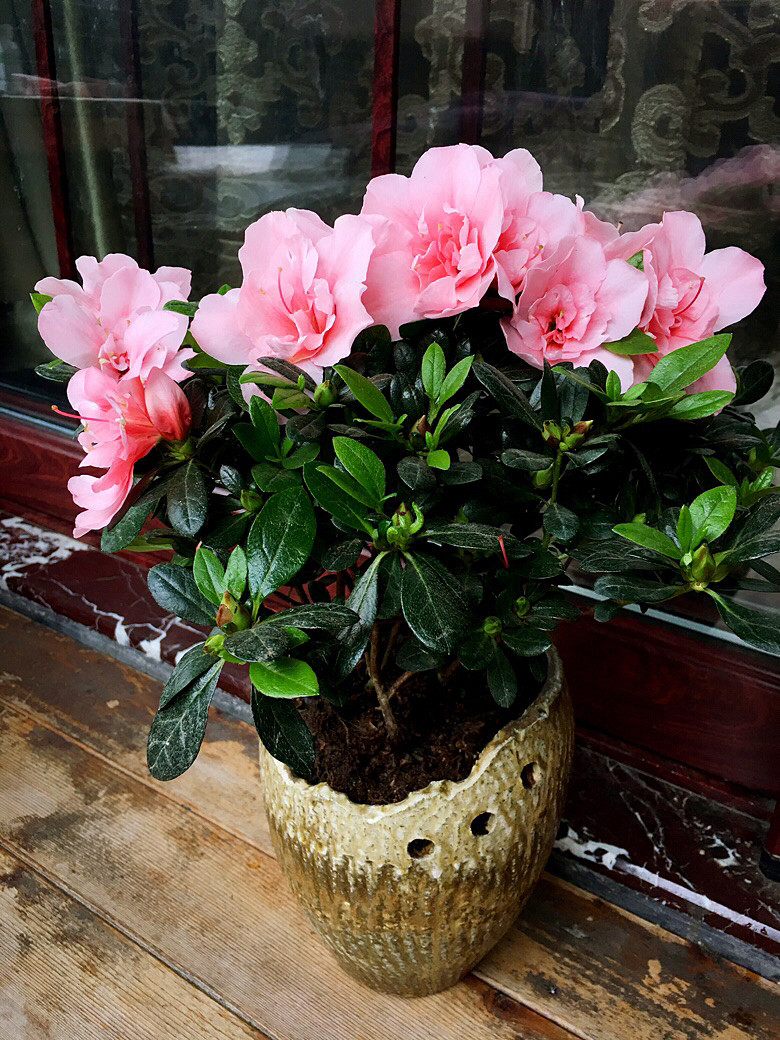 ɽ���ڵĶ���������