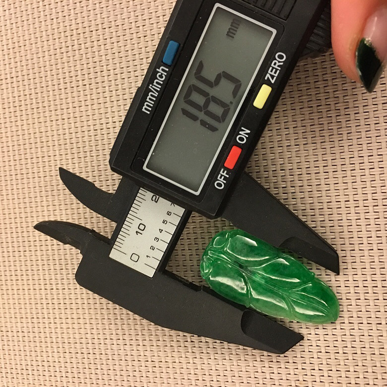 3000�����������ģ���֦ɢҶ������ɫ