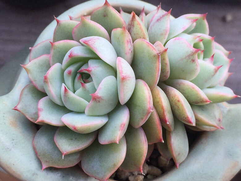 ����Ķ���������