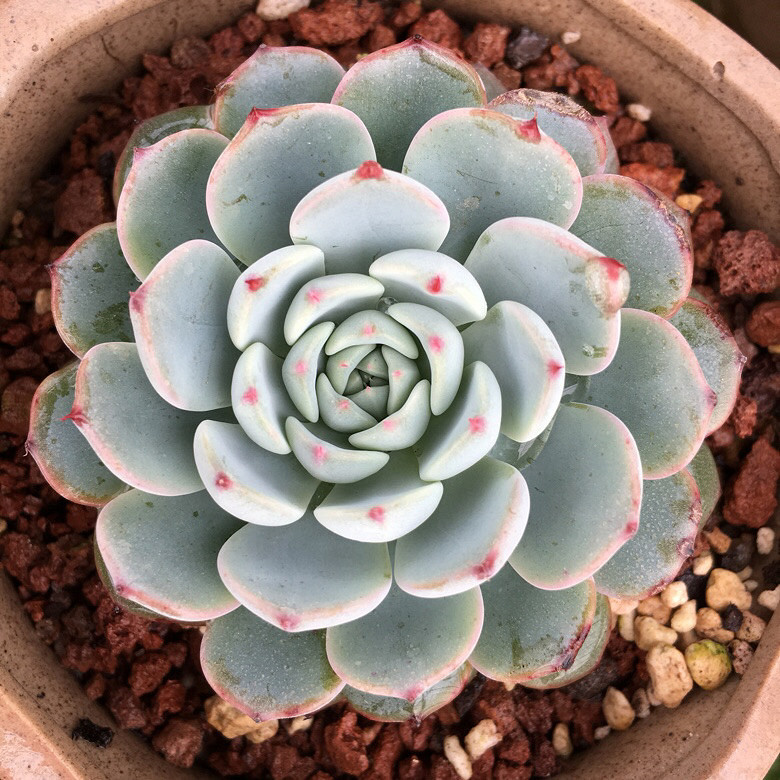 ��������Ļ����