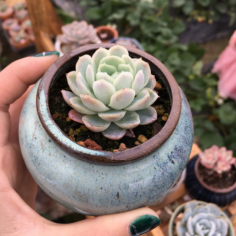 ��������Ļ����