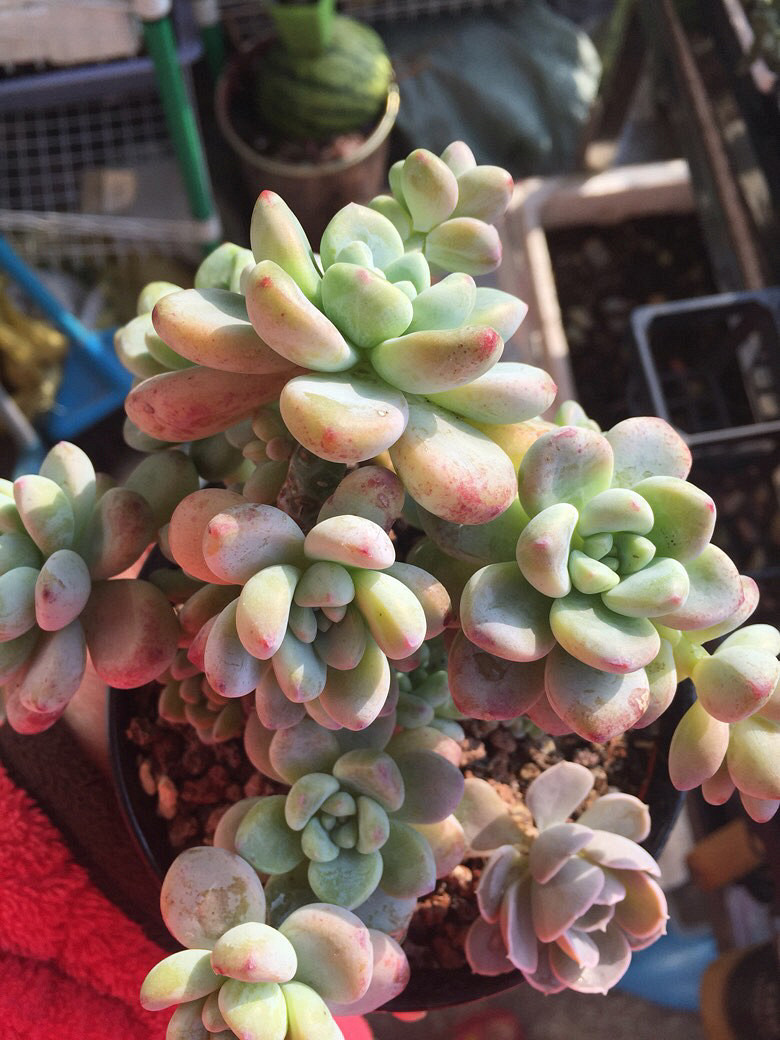 ����Ķ���������