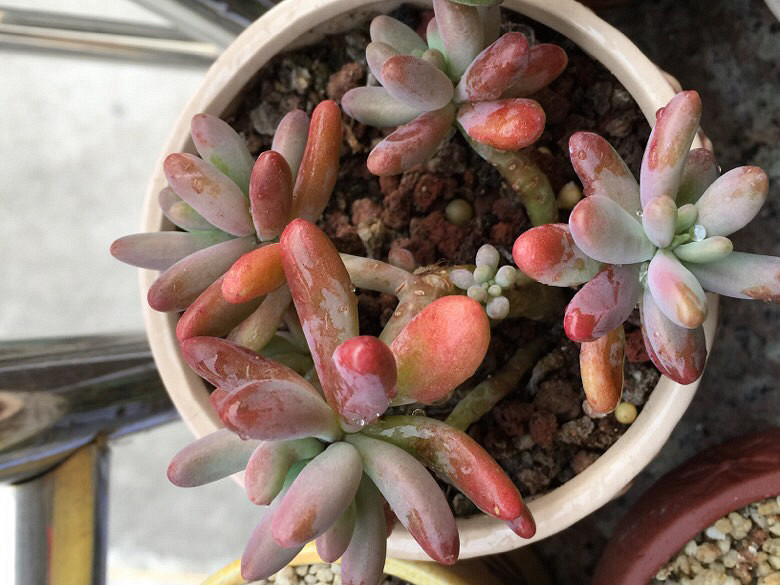 ����Ķ���������