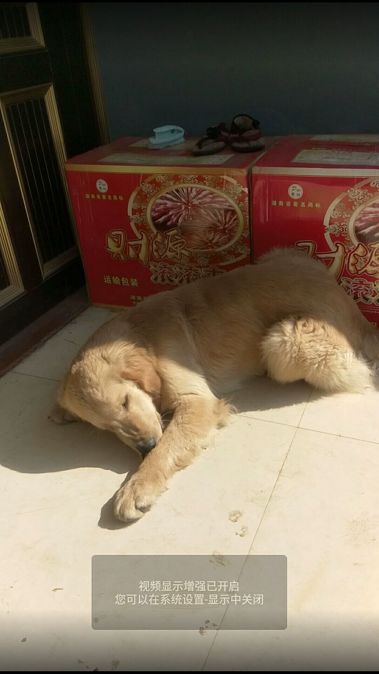 ת�ô��ֽ�ëһֻ���ھ�����֤��