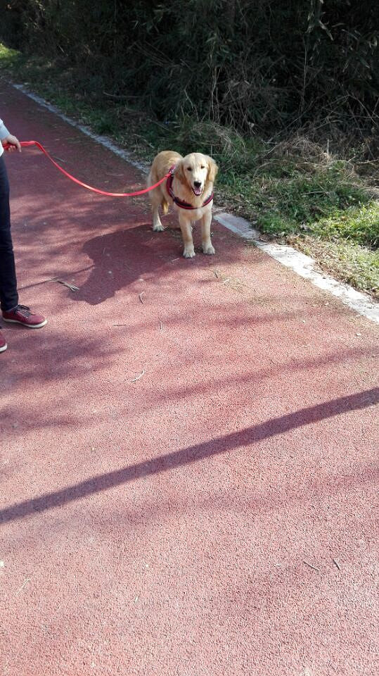 ת�ô��ֽ�ëһֻ���ھ�����֤��