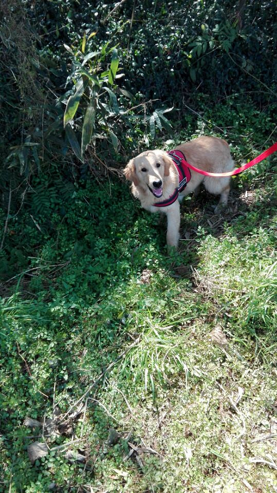 ת�ô��ֽ�ëһֻ���ھ�����֤��