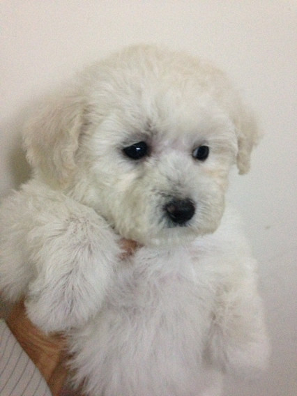 ����̩�����¼ң����������ϣ���������-��