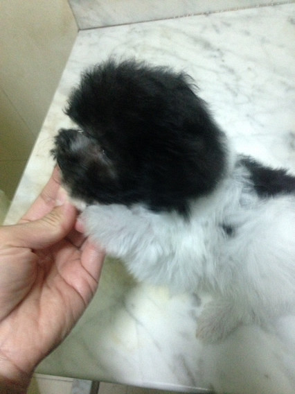 ����̩�����¼ң����������ϣ���������-��