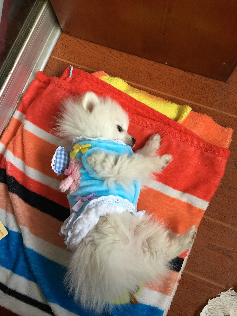 ��ĸ�����ߣ����������¡�����ʱһ�۾Ϳ�