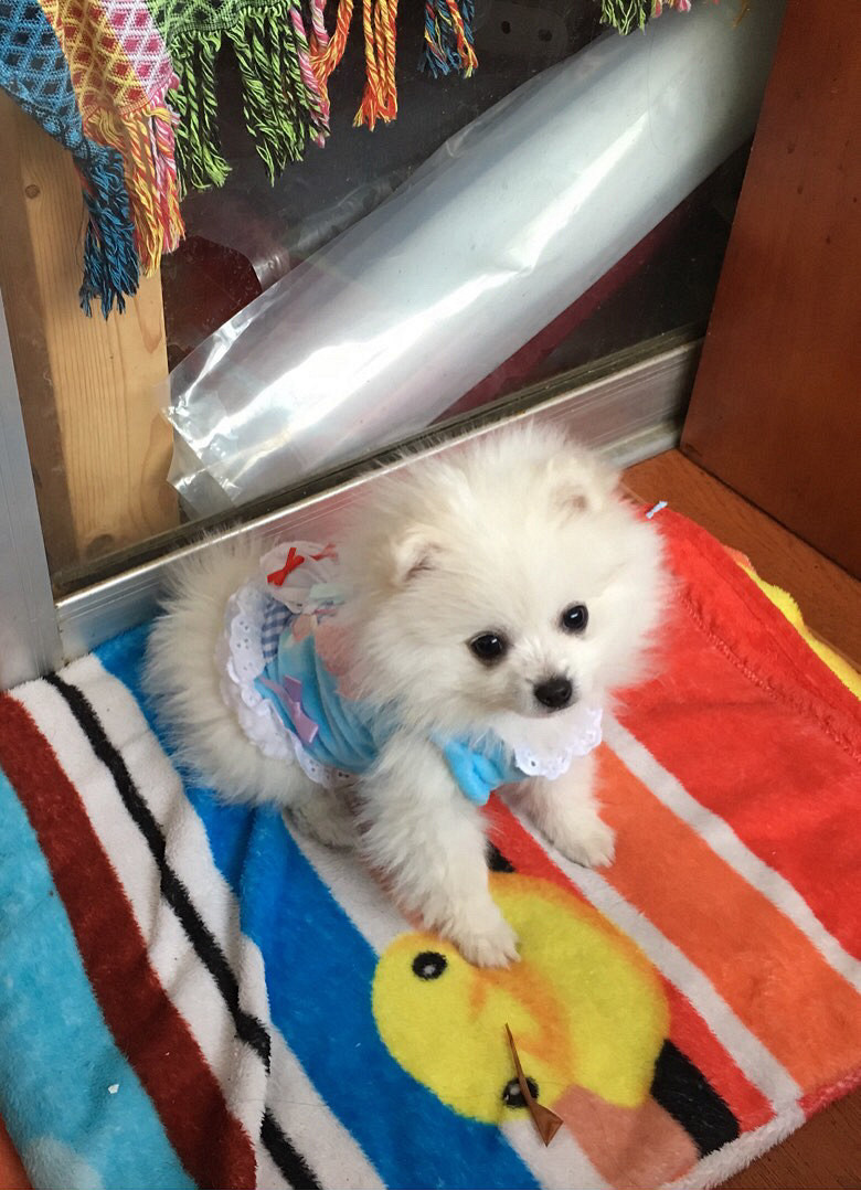 ��ĸ�����ߣ����������¡�����ʱһ�۾Ϳ�