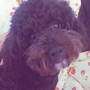 ��Ů����