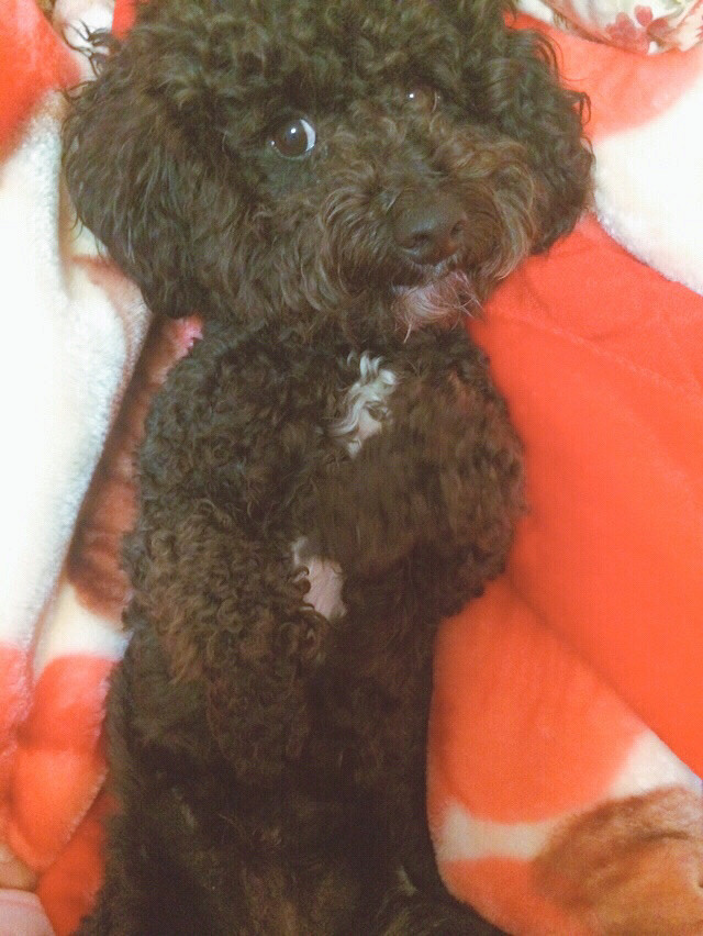 ��Ů����