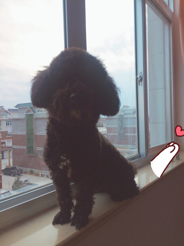 ��Ů����