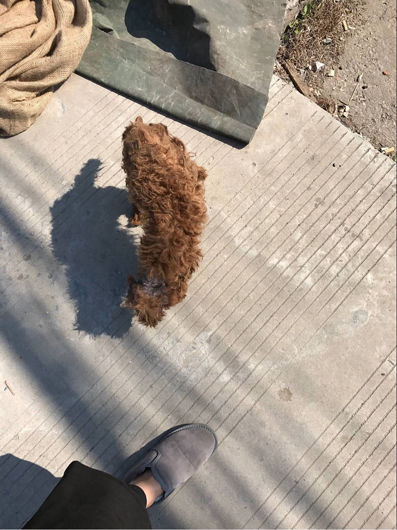 ���񻷴�����������𣿹���Ŀǰ�������ˣ�