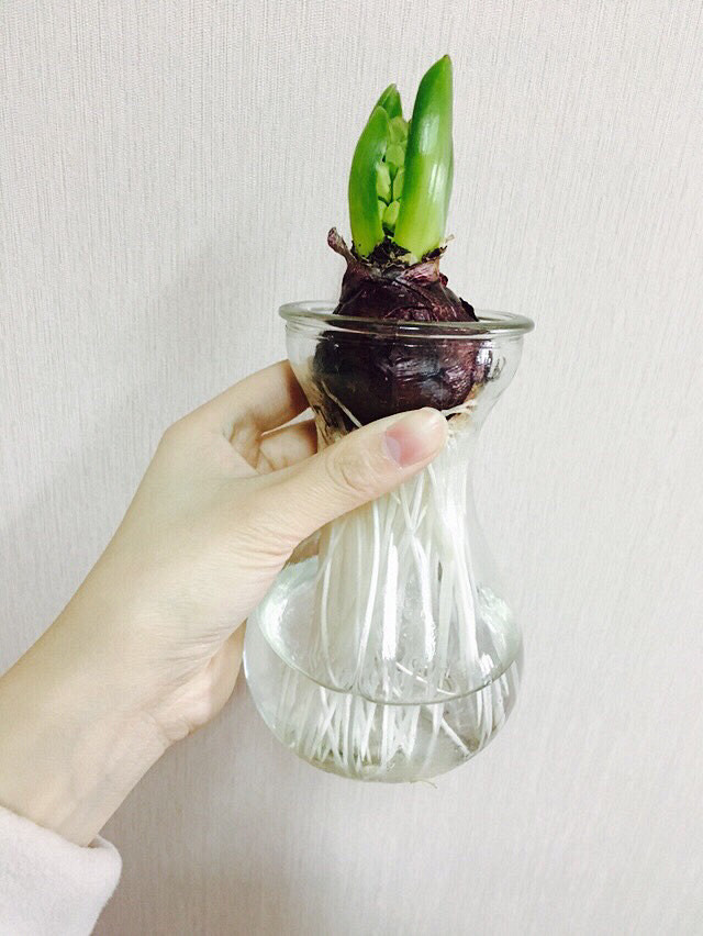 ��˵�еķ����ӣ�