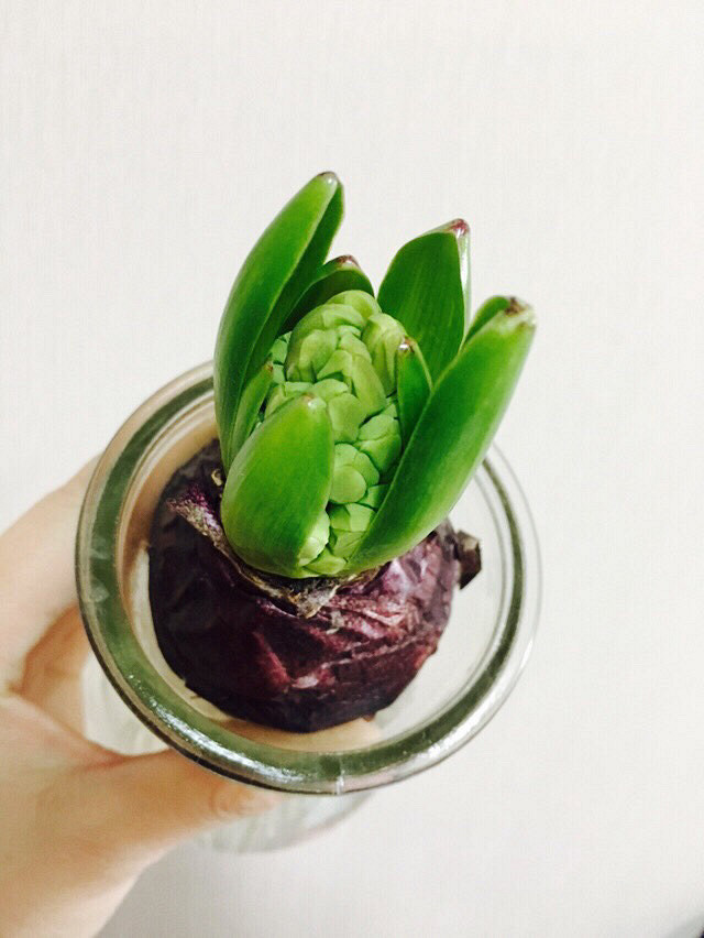 ��˵�еķ����ӣ�