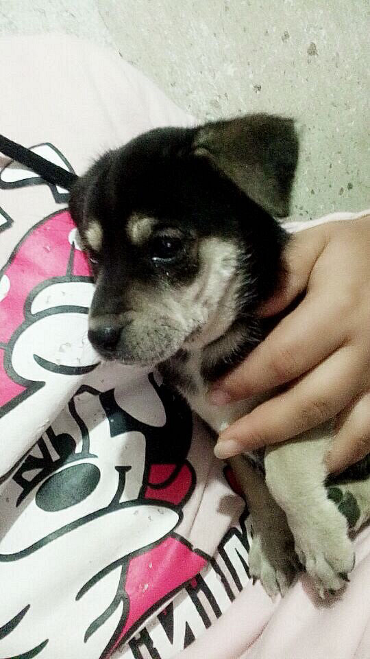 ·�߼񵽵�С�̹���������΢�ţ�Y2535