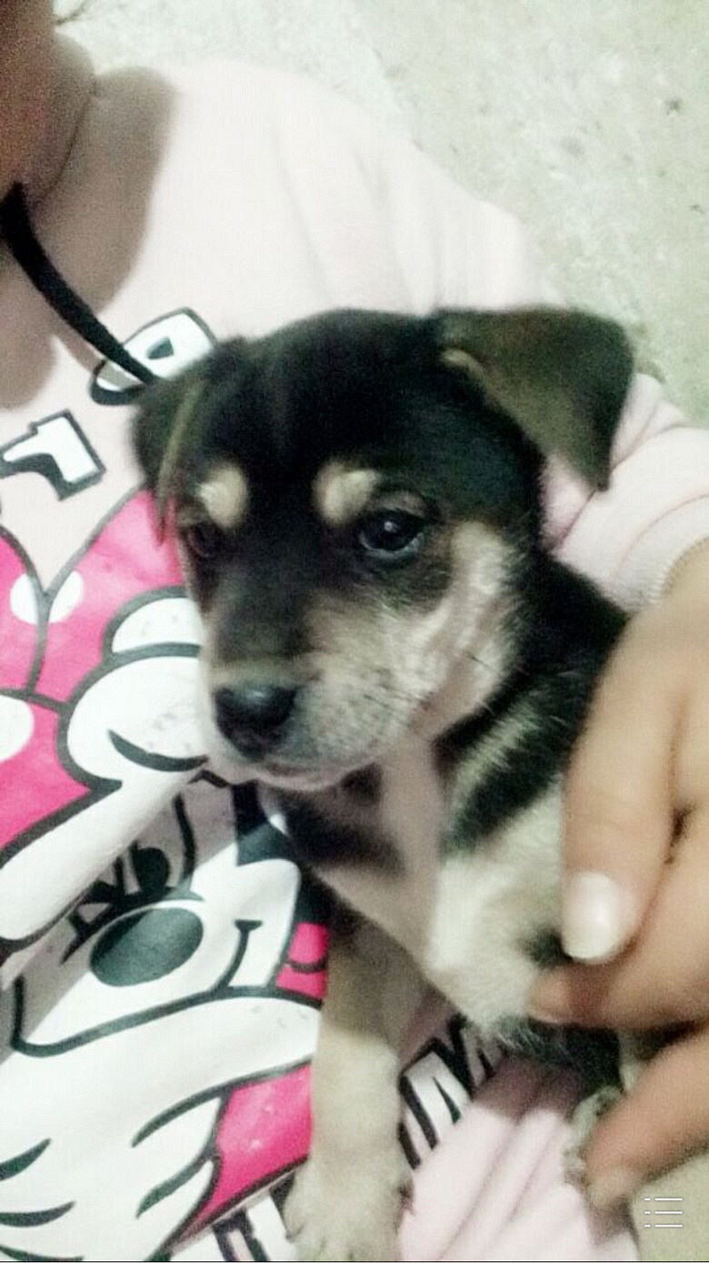 ·�߼񵽵�С�̹���������΢�ţ�Y2535