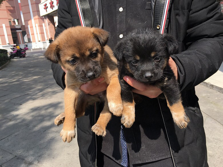 һ��С�����Ұ����˼��������