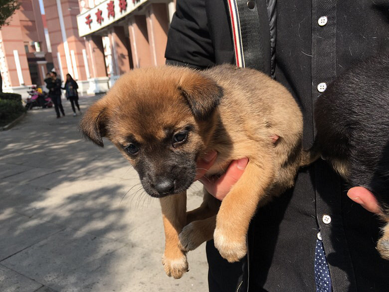 һ��С�����Ұ����˼��������