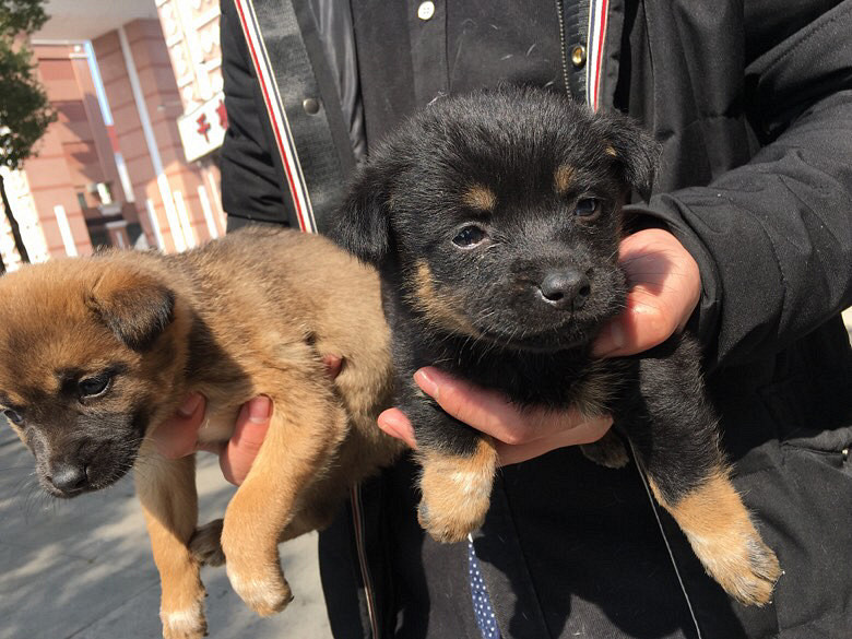 һ��С�����Ұ����˼��������