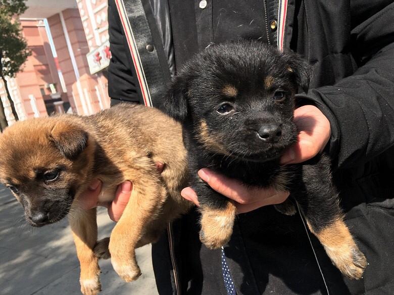 һ��С�����Ұ����˼��������