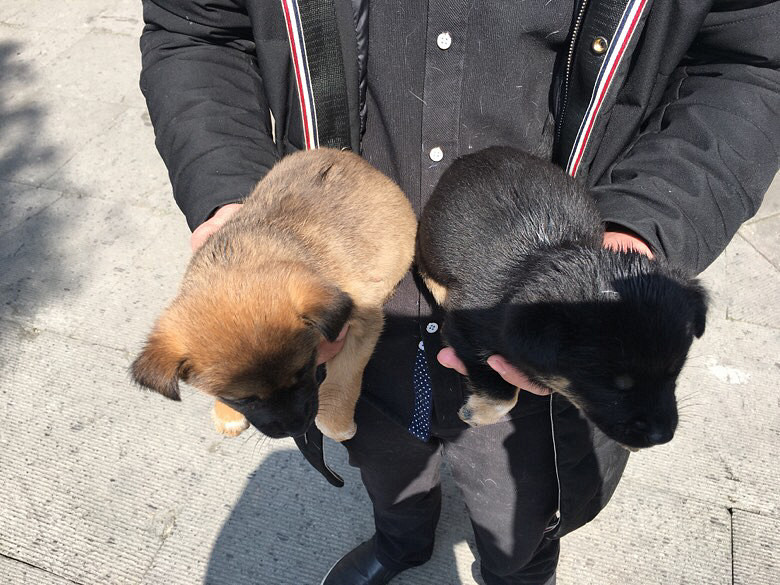 һ��С�����Ұ����˼��������