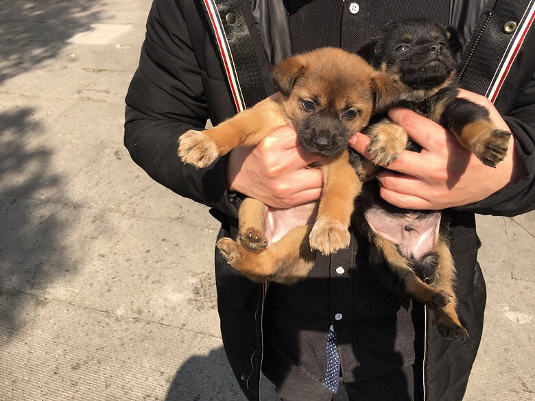 һ��С�����Ұ����˼��������