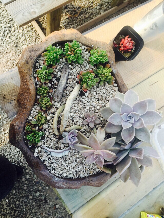 æ��͵�У�������һ��