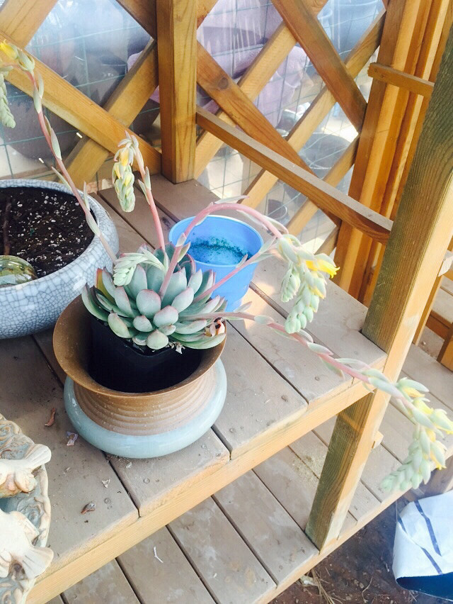 æ��͵�У�������һ��