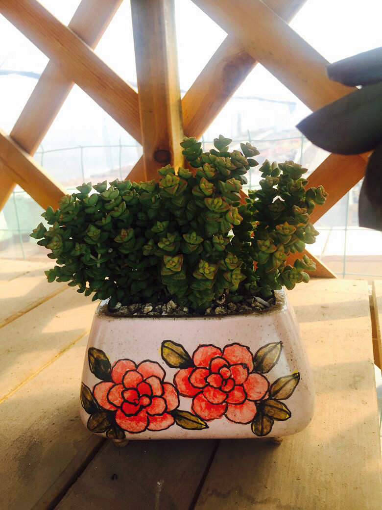 æ��͵�У�������һ��