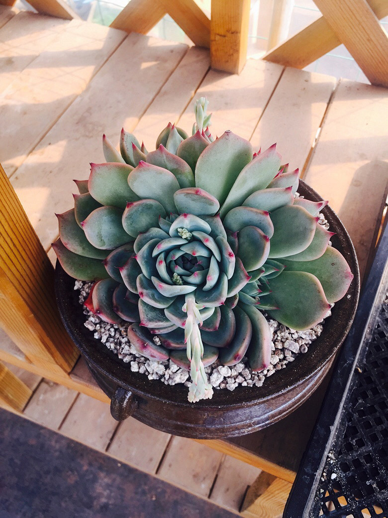 æ��͵�У�������һ��