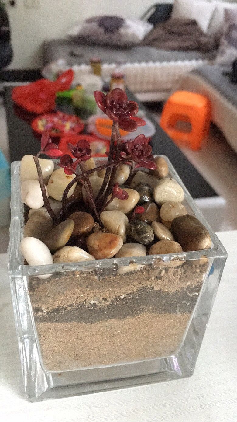 Ұ������ֲ��